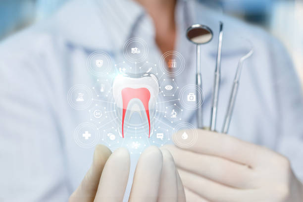  Elmer, NJ Holistic Dental Services Pros
