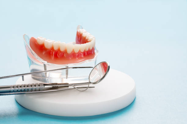 Best Cosmetic Dentistry  in Elmer, NJ